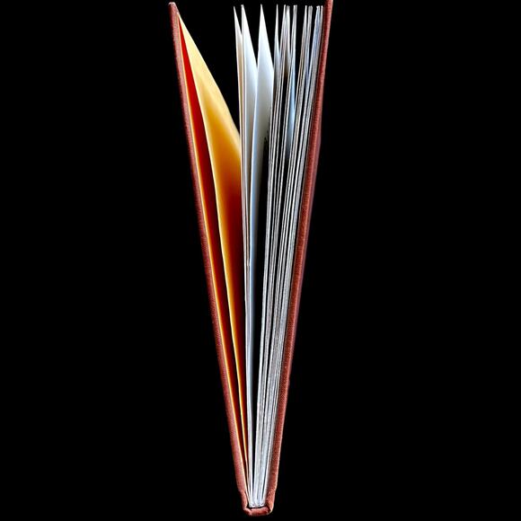 A Giraffe and a Half Hardcover – Picture Book, November 4, 1964 - Picture 4 of 6